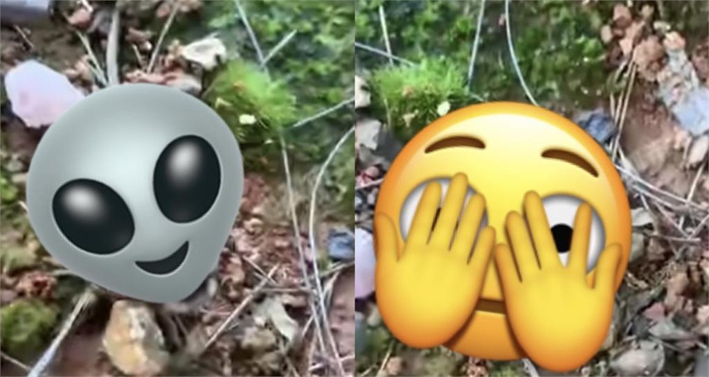 公園現「骷髏怪蟲」!影片曝內行揭:比熊貓稀有