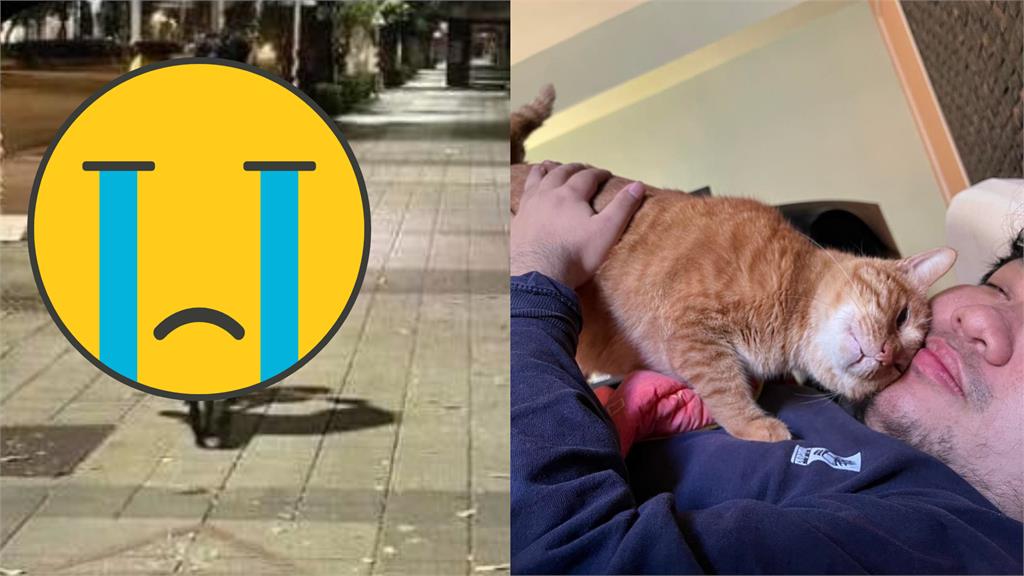 統神深夜騎車找貓畫面流出!他嘆:只睡2小時