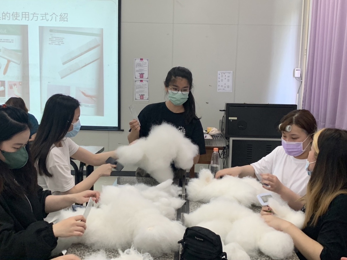 新生醫專美容科開寵物課程　培訓寵物美容師學習一技之長