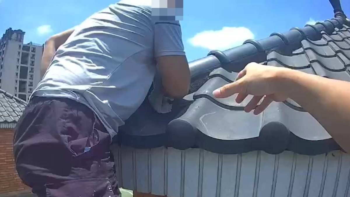 【有片】不要命?通緝犯爬屋頂躲藏 難逃警察法眼 1493884 scaled