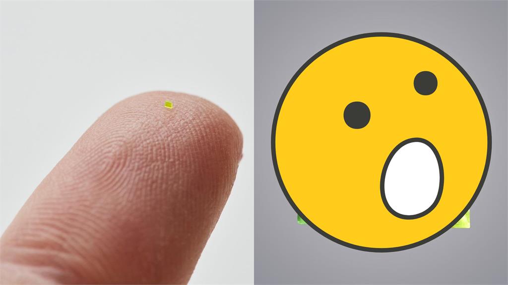 「迷你廢包」最終型態曝!出動顯微鏡才看得到