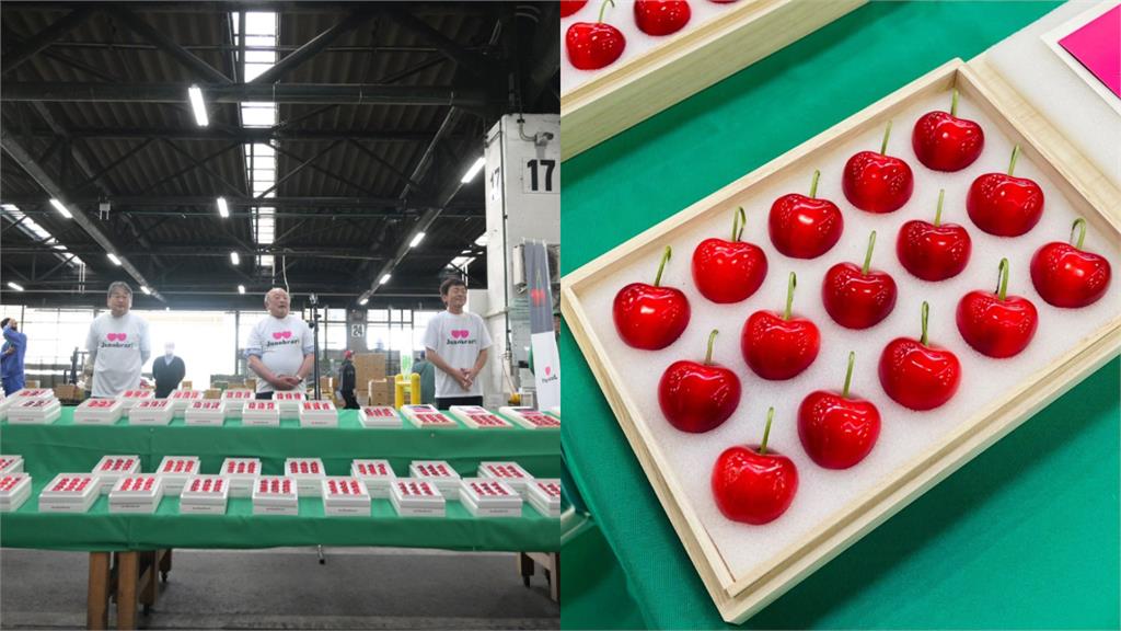 吃一口噴7千元!日本櫻桃15顆「拍出11萬天價」