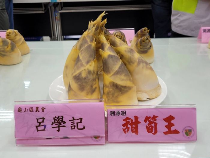 桃園綠竹筍盛產 鮮嫩清爽展現筍農種植實力 20230617172850836