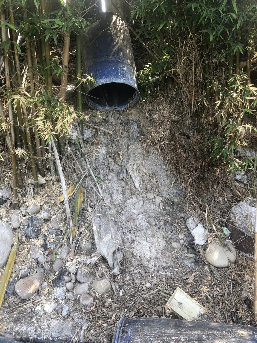 大園后厝國小附近飄惡臭 養魚豆腐渣已被曬乾 352239475 940691380489211 8854965930848575230 n scaled