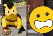 毛毛的!黃色小雞突PO「歪頭陰沉照」網嚇壞