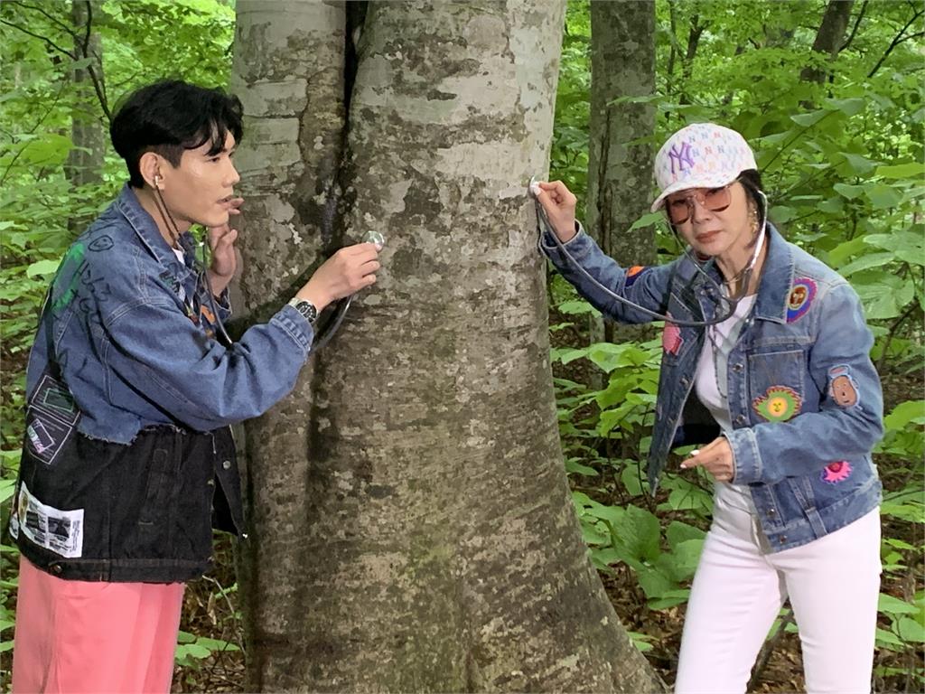 用聽診器聽「百年大樹的心底聲音」!陳美鳳與大自然融為一體