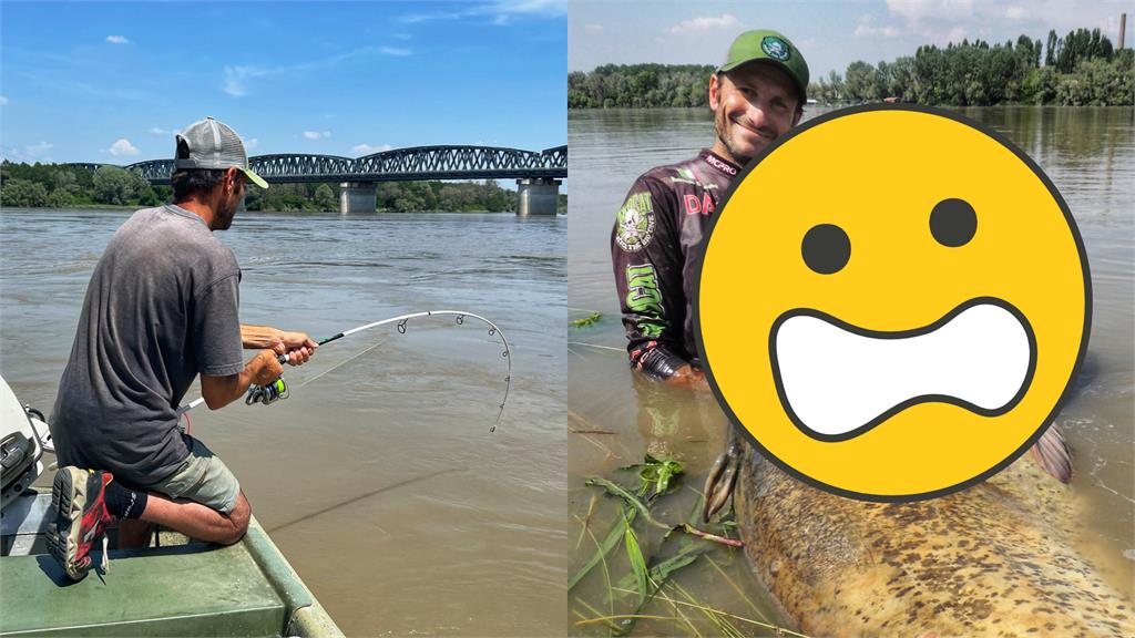 義大利波河水怪現形!釣客捕獲3公尺巨型鯰魚