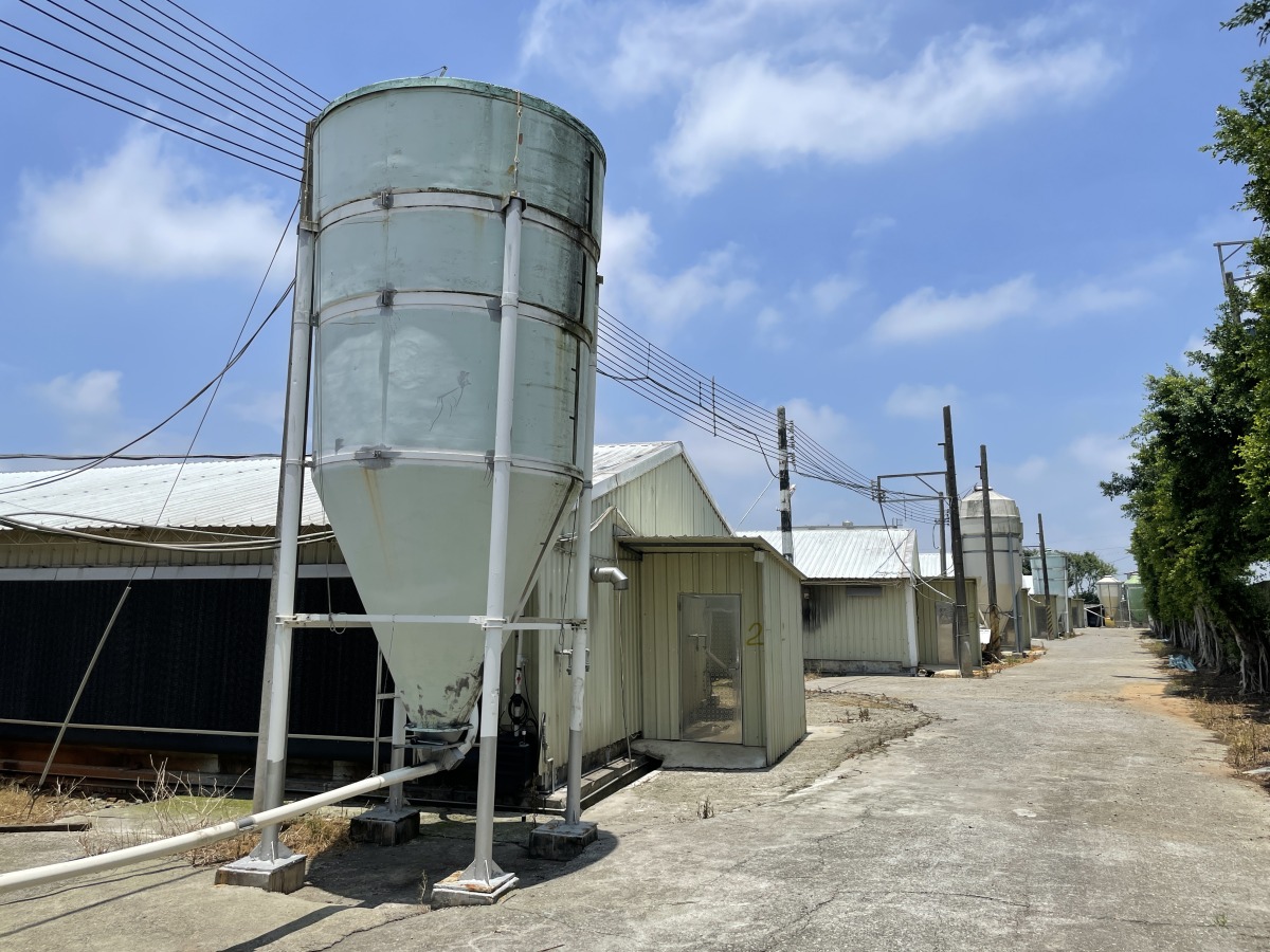 桃園農業局加碼「養禽舍改建升級補助」 穩定國產禽品供應 IMG 7002