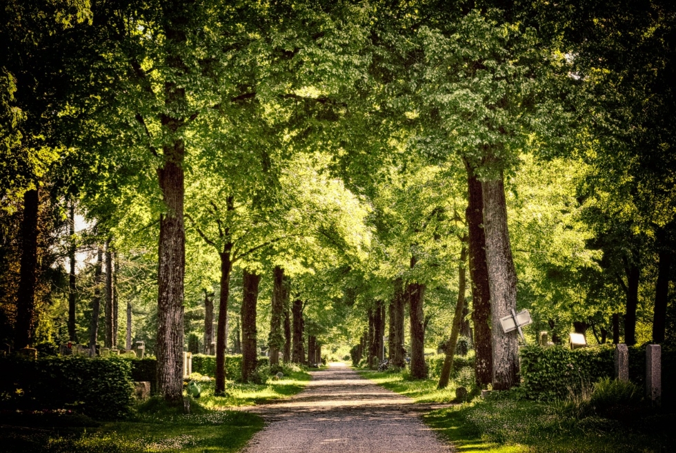 幸運兒爽中頭獎!席開200桌「0人到場」真相曝光