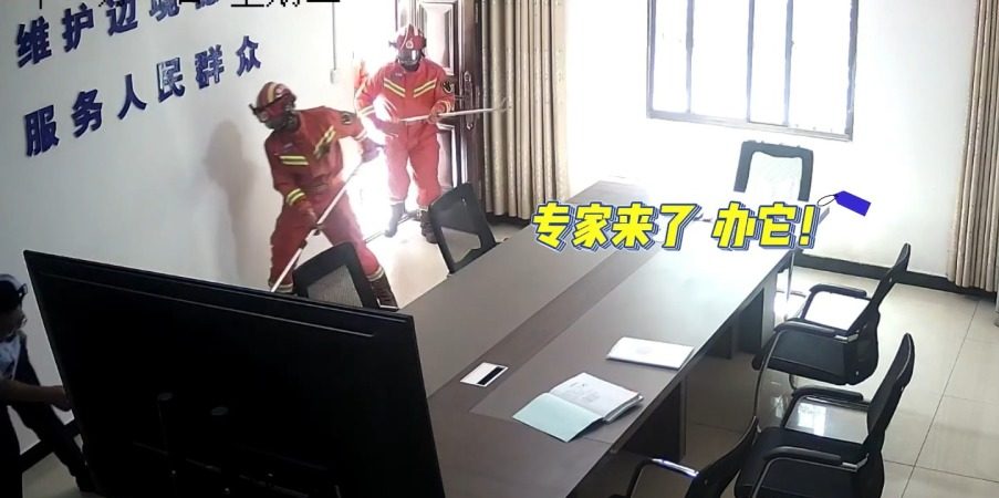 大蟒蛇闖派出所 警嚇壞急報案 螢幕擷取畫面 872 e1686117006638