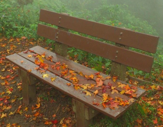 副刊/我和小百岳