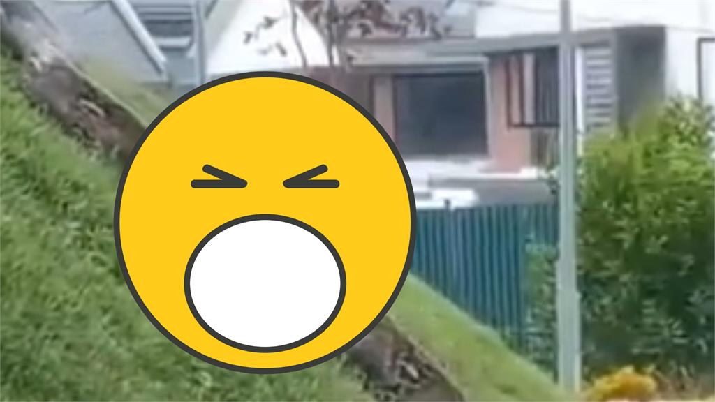 「比水管粗巨蟒」悠遊散步9秒片曝!真相超傻眼