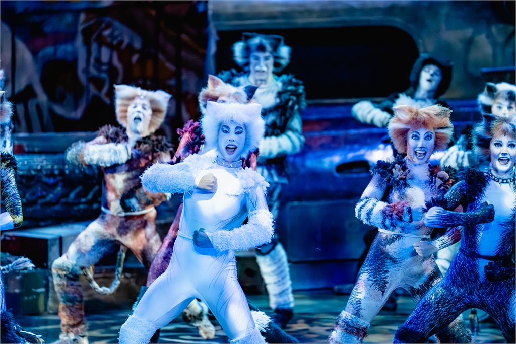 在台巡演累積20年 《貓》再破場次紀錄 直擊戲服、道具揭密