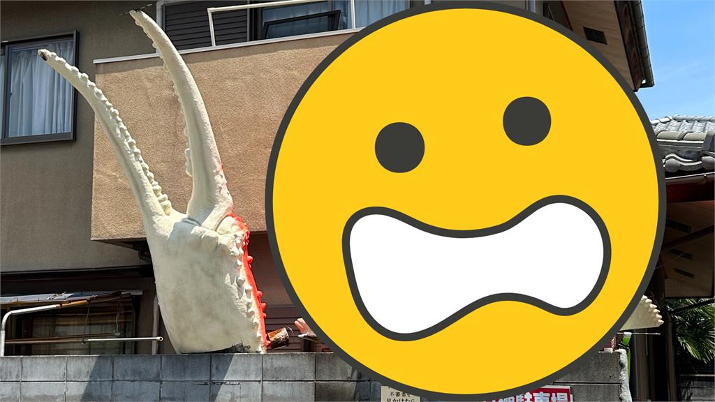 日本民宅驚見浮誇巨獸!地點曝光網笑:這很大阪