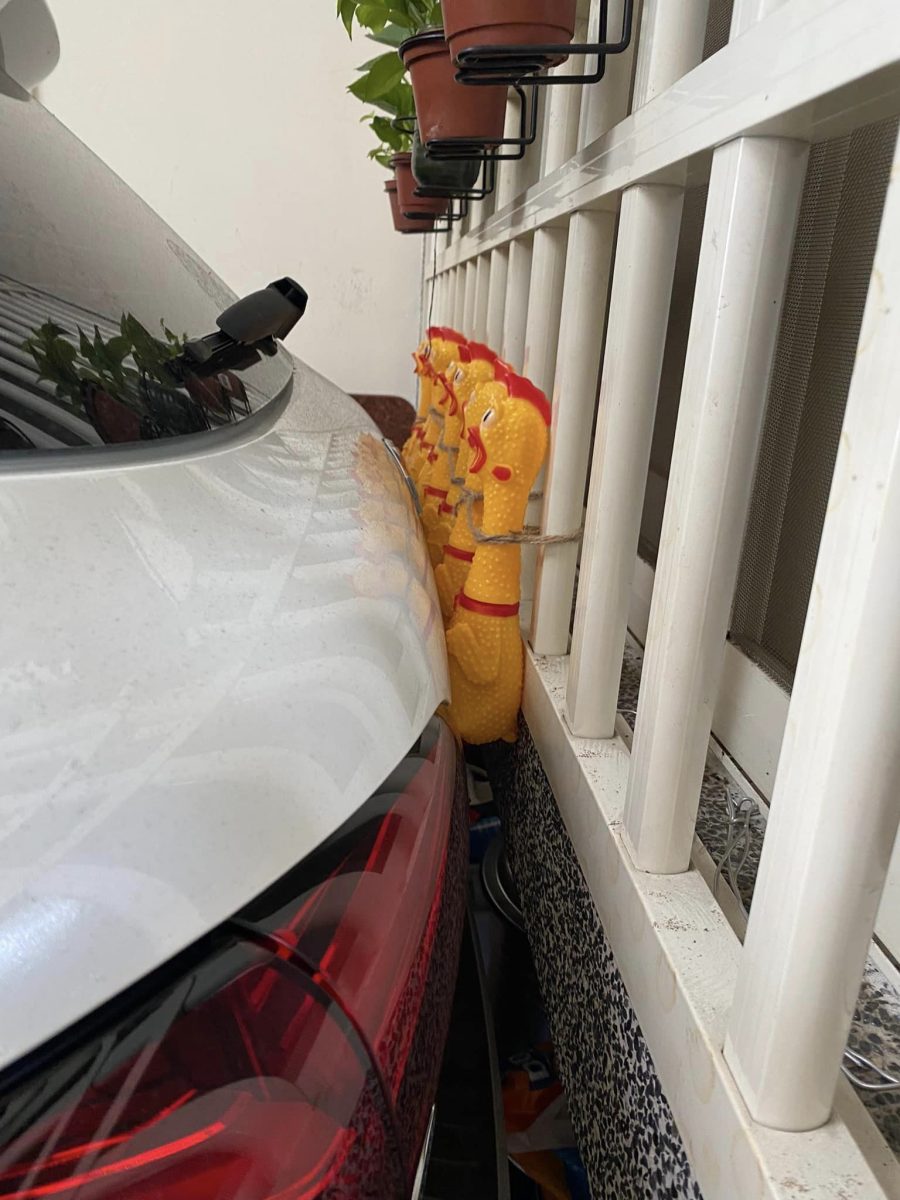 【有片】倒車入庫怕A到?他用一排「尖叫雞」搞定 354647337 5862531947186543 7611125502683398236 n scaled