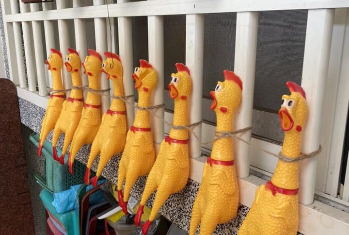 【有片】倒車入庫怕A到?他用一排「尖叫雞」搞定