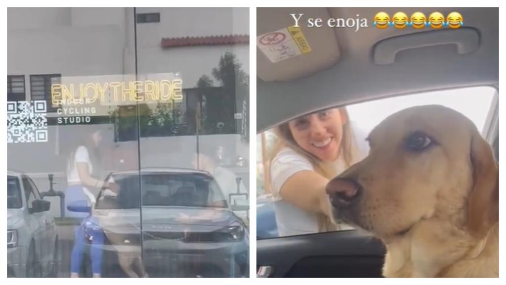 抓包主人出軌!拉拉醋勁大發「拒絕摸摸」:別碰我