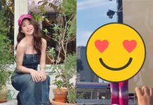 郭書瑤辣穿泳衣開唱!美背靠1條線死守全場看暈