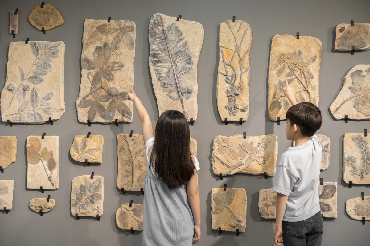 桃兒美館「我用身體畫座島」展覽熱情登場 暑假共創美好回憶 6.涂維政《方舟博物館 遺跡化石系列》。攝影透島影業。圖片提供桃園市立美術館