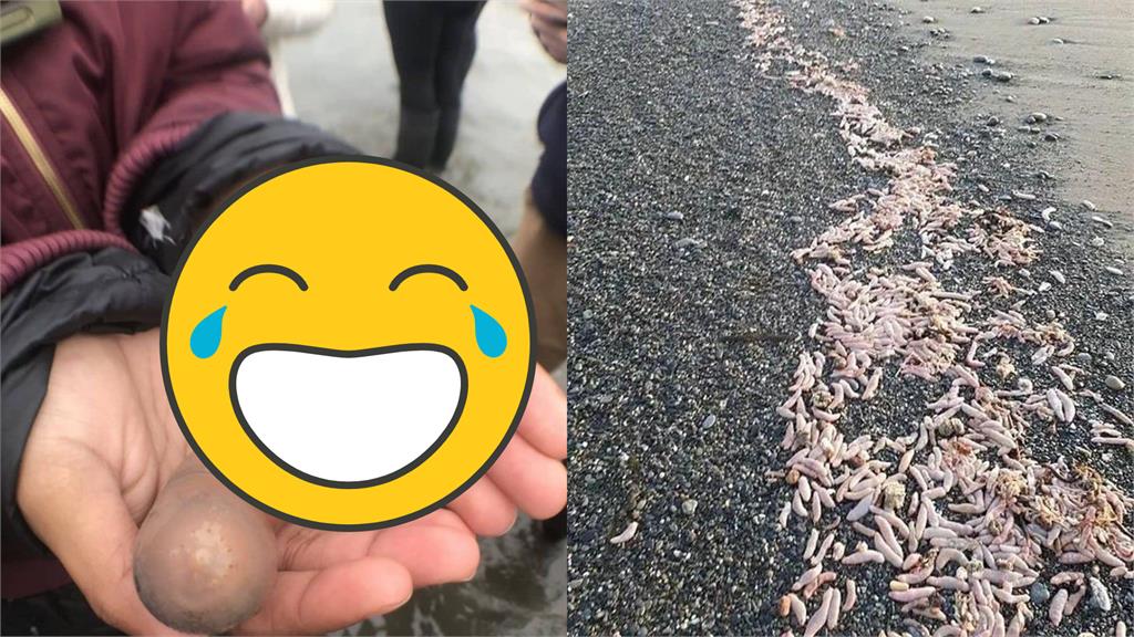 大量「肉色棒狀魚」被沖上岸!當地人看了超尷尬