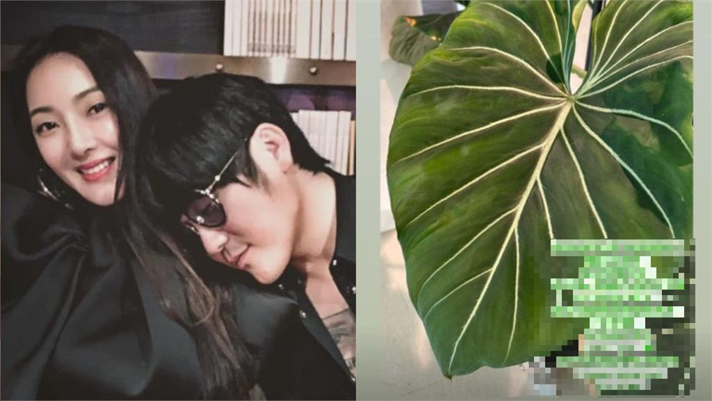 曹格見前妻與已婚少東對話秒失控!吳速玲發聲了