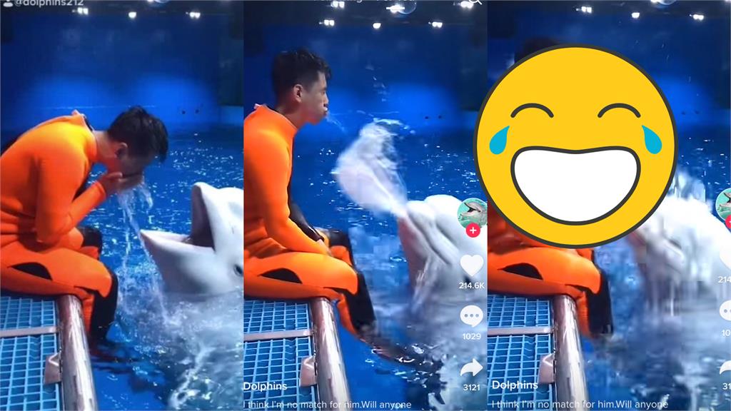 調皮小白鯨玩弄飼養員!猛力噴水「19秒洗澡片」曝