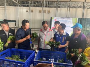 杜蘇芮颱風逼近！桃園農民急採收作物 加強防護措施