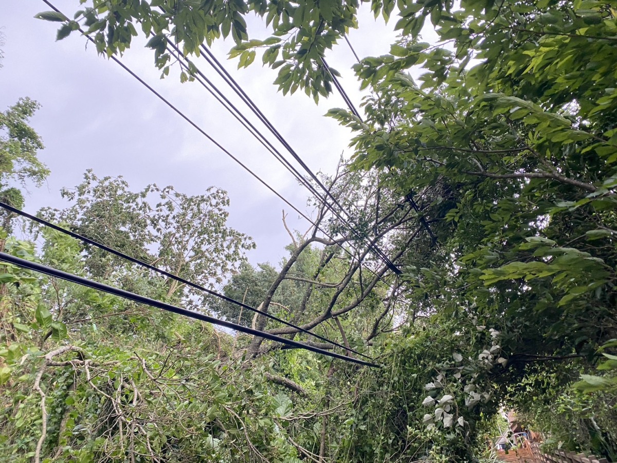 杜蘇芮強風來襲 桃市部分地區停電 S 111599620 0