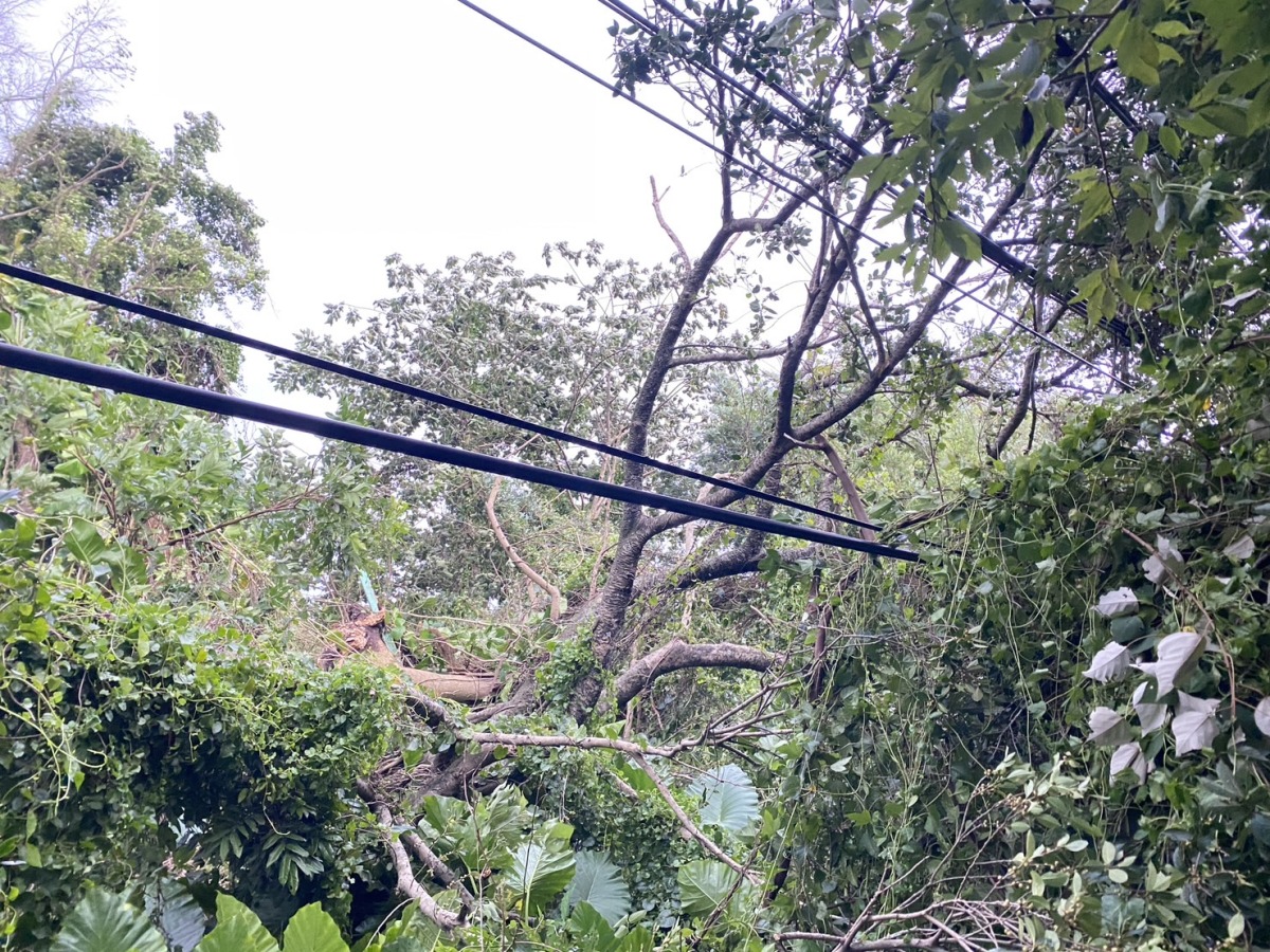 杜蘇芮強風來襲 桃市部分地區停電 S 111599624 0