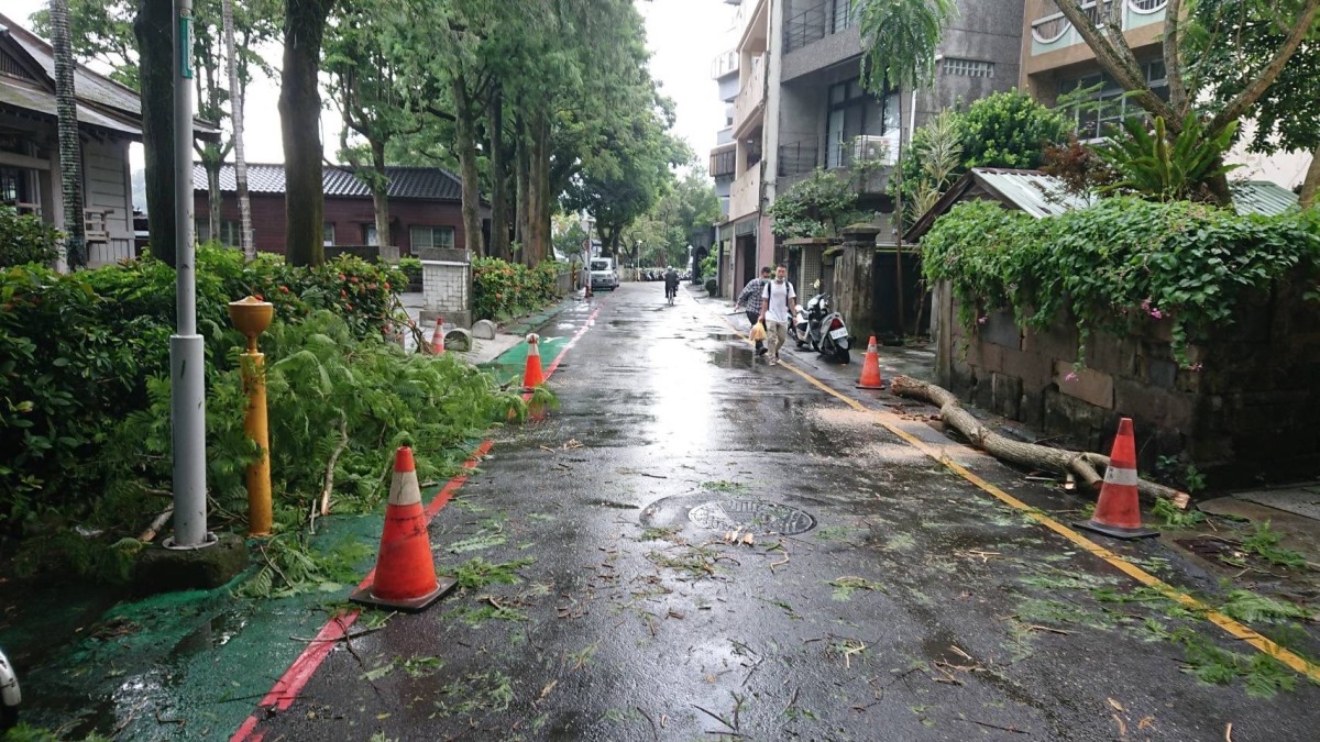 午後雷陣雨狂炸 大溪路樹斷裂影響通行 S 3498107