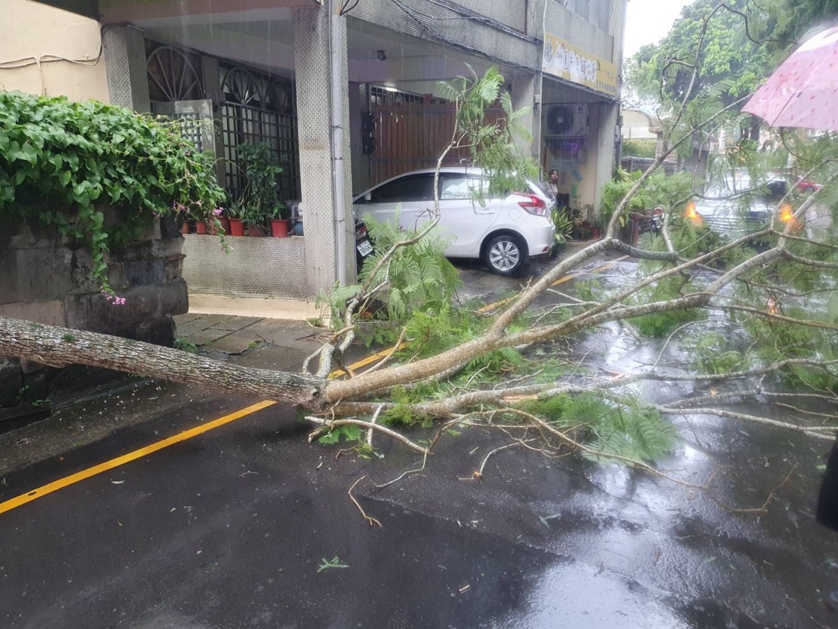 午後雷陣雨狂炸 大溪路樹斷裂影響通行 S 3498111