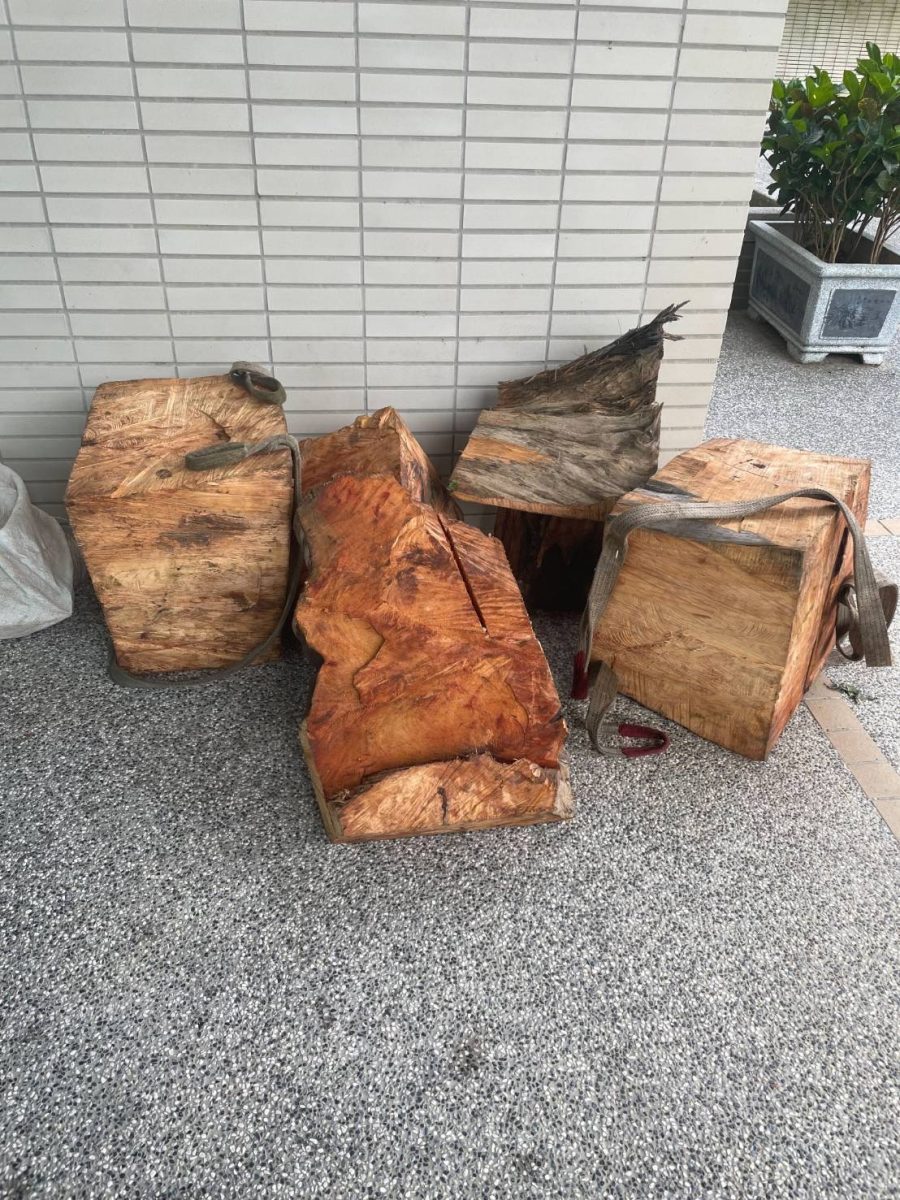 保護國有珍貴林木 大溪警無人空拍機打擊山老鼠 S 3695048 scaled