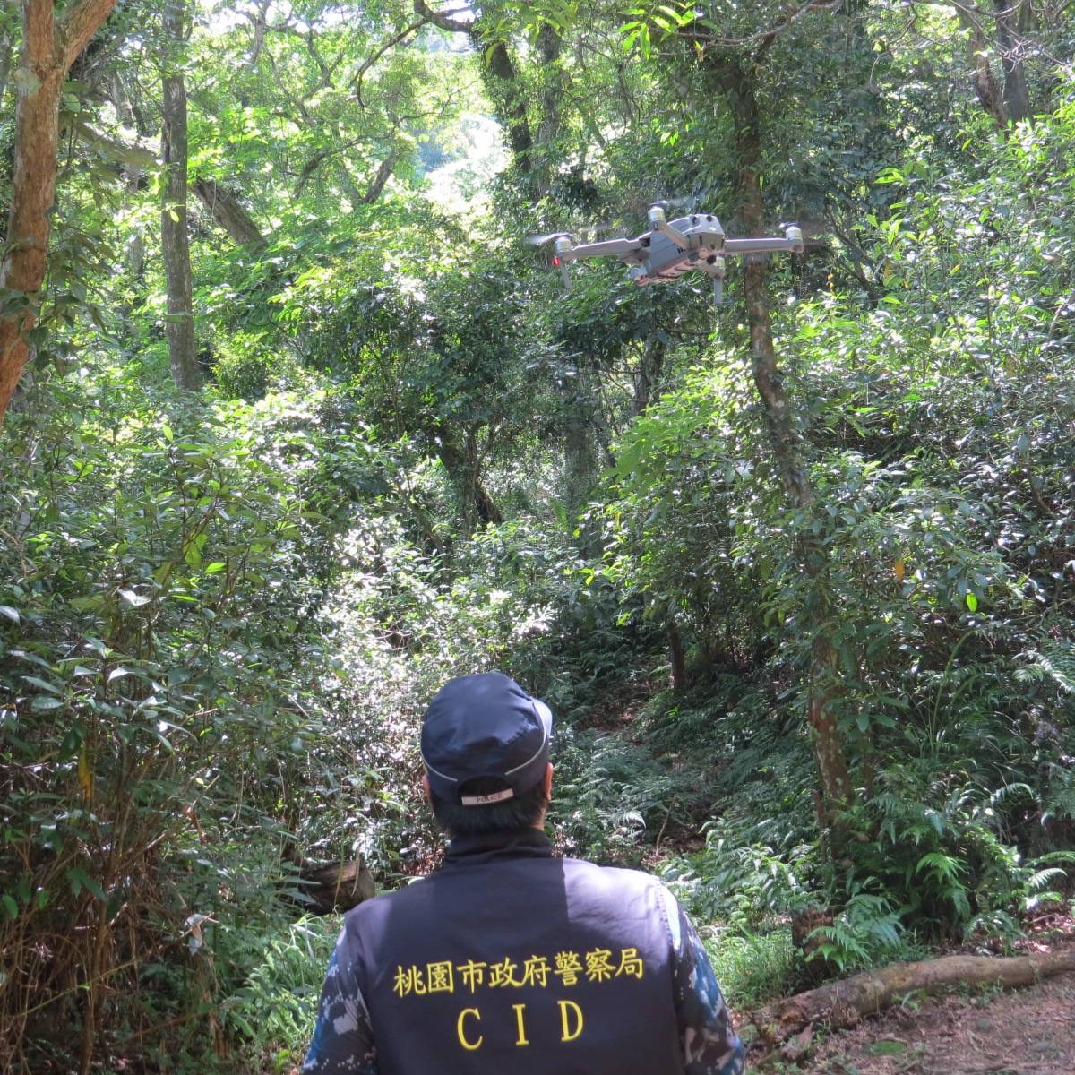 保護國有珍貴林木 大溪警無人空拍機打擊山老鼠 S 3695162