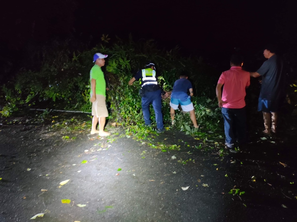 強風吹倒路樹阻通行 龍潭警民摸黑清運 S 5783754
