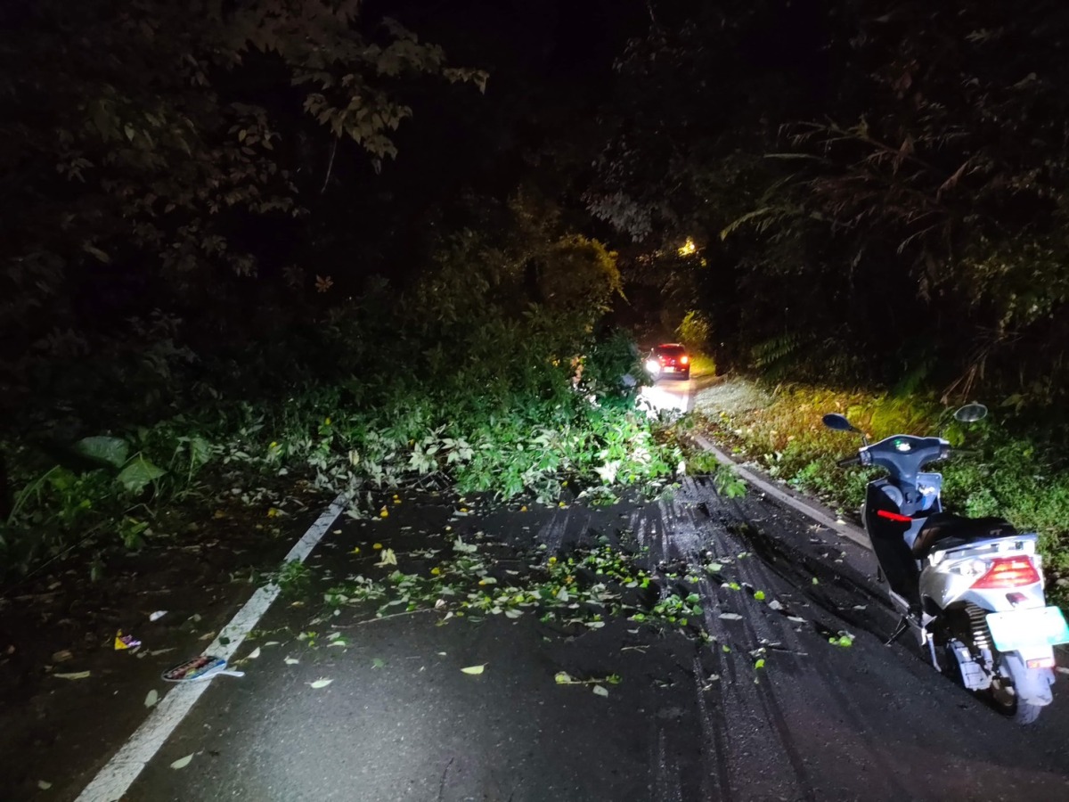強風吹倒路樹阻通行 龍潭警民摸黑清運 S 5783758