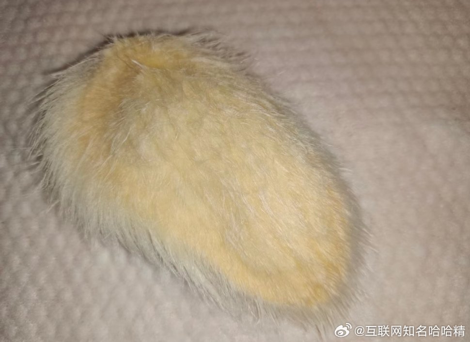 食物這樣玩?中國年輕人養起「芒果核」誇張行徑曝