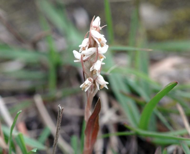 副刊/如果被丟在夜裡的墳場要怎麼回家