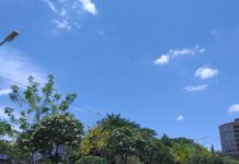 副刊/六姐的記憶拼圖