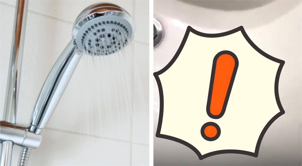 洗髮精一擠「黑色蟲卵」全噴出!網嚇暈:頭都麻了…