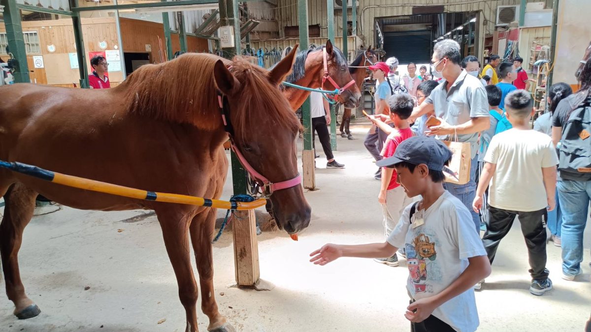 大園警青春專案宣導活動 學童體驗馬術樂趣 297604 0 scaled