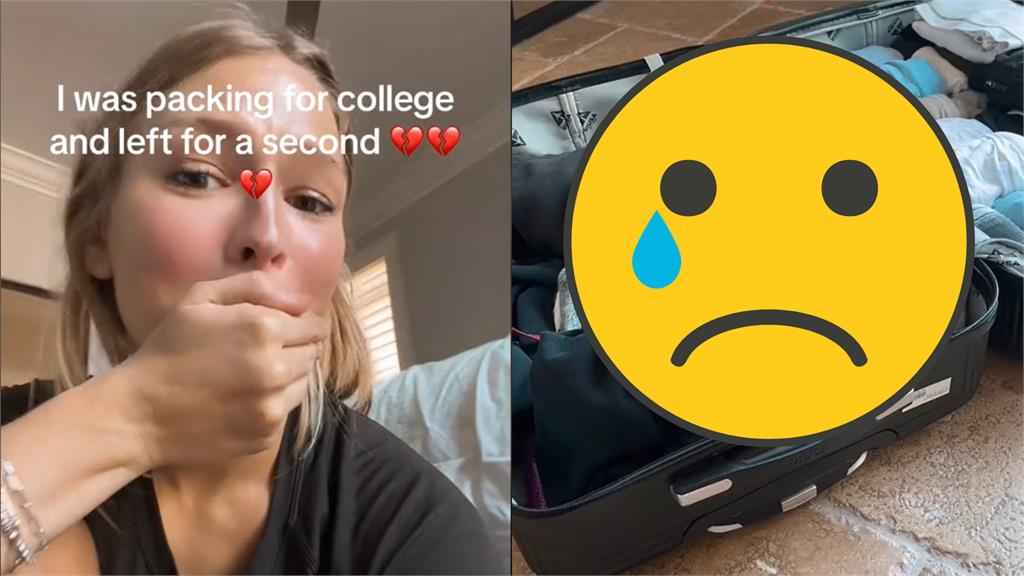 女大生開學收行李返校!愛犬1舉動「抗議」惹心疼