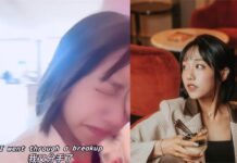 蔡佩軒暫退台灣演藝圈 暴哭兩週認:又分手了