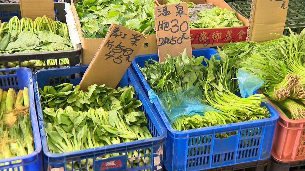 颱風接連來襲! 葉菜類泡水損傷多價格仍高