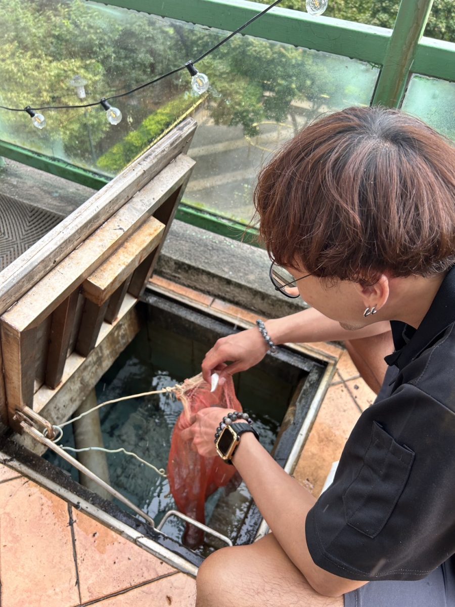 對抗登革熱 桃園觀旅局要求觀光旅宿業者落實孳生源清除工作 S 15540387 1 0 scaled
