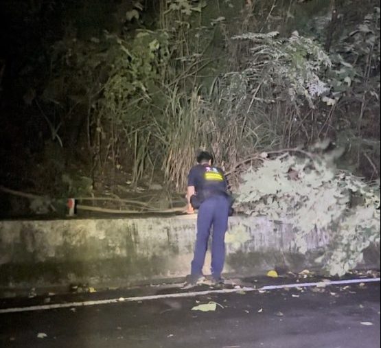 卡努掀強風吹斷路樹 龜山警深夜冒雨移除 S 188293210 0 scaled e1691112899729
