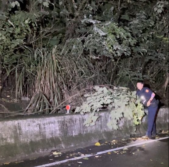 卡努掀強風吹斷路樹 龜山警深夜冒雨移除 S 188293212 0 scaled e1691112916874