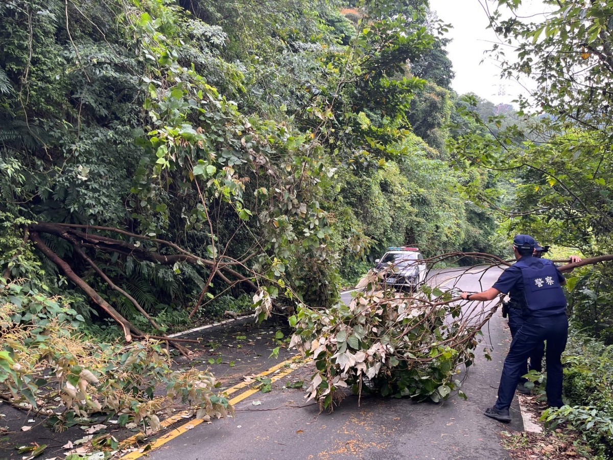 卡努颱風吹倒路樹 龍警半小時恢復交通順暢 S 6103217 0