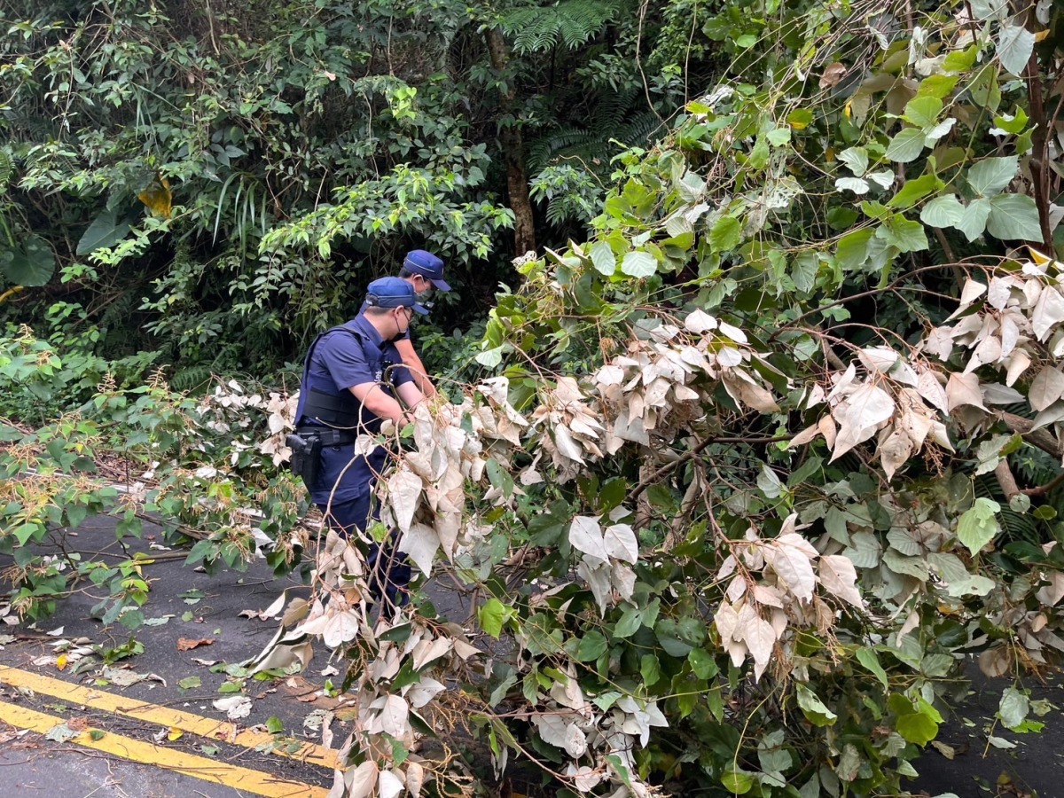 卡努颱風吹倒路樹 龍警半小時恢復交通順暢 S 6103218 0