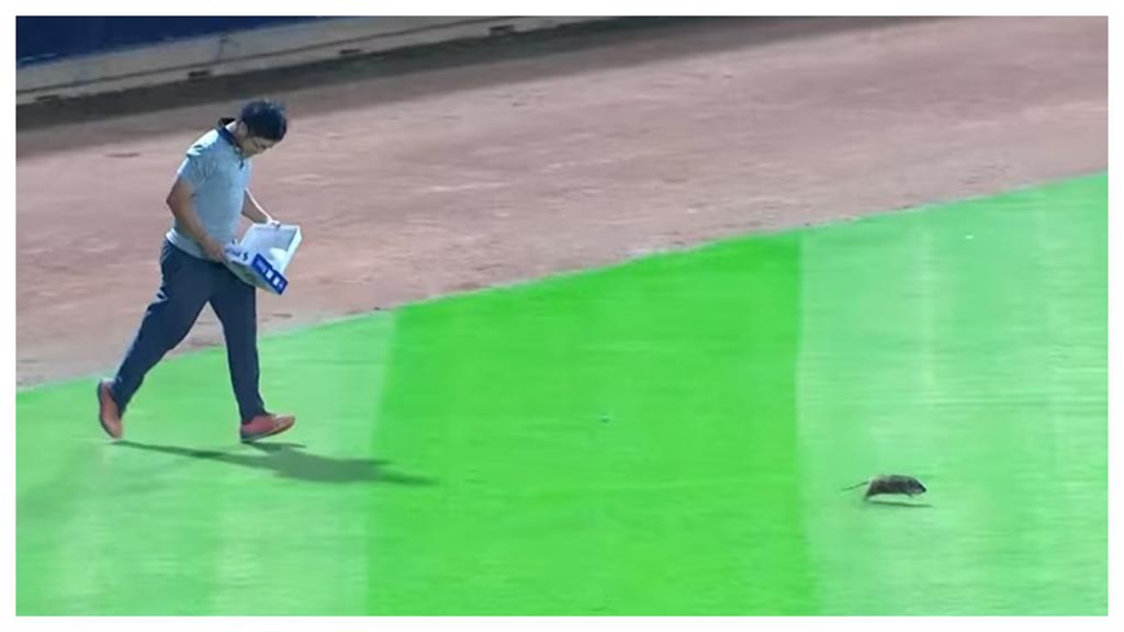 「巨大米奇」亂入獅象戰!網笑喊:阿嬤養的?