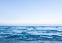 《海洋保育法》今起全面施行 守護藍色國土